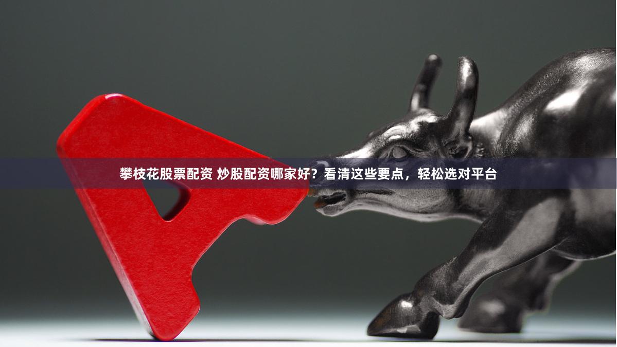攀枝花股票配资 炒股配资哪家好？看清这些要点，轻松选对平台